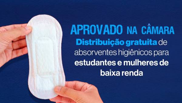 Câmara aprova distribuição gratuita de absorventes para estudantes e mulheres de baixa renda